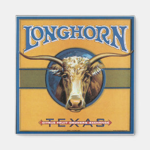 Texas Steer Longhorn Magnet