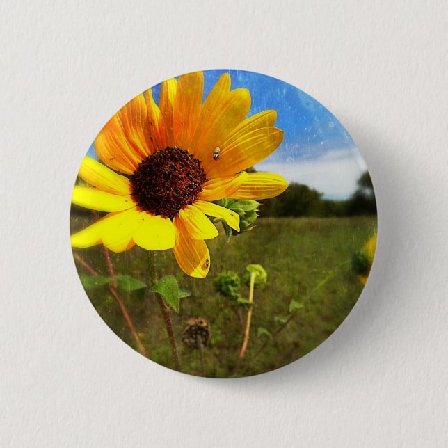 Texas Sunflowers by Jill 6 Cm Round Badge (Front)