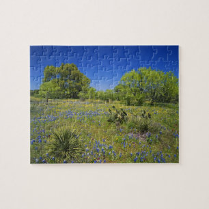 Texas, Texas Hill Country, Low bladderpod, Jigsaw Puzzle