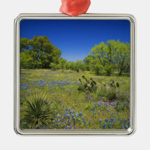 Texas, Texas Hill Country, Low bladderpod, Metal Ornament