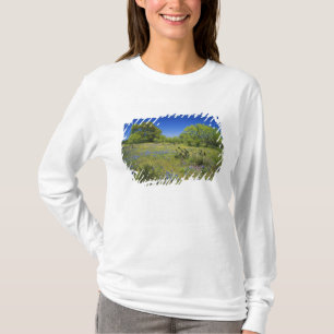 Texas, Texas Hill Country, Low bladderpod, T-Shirt