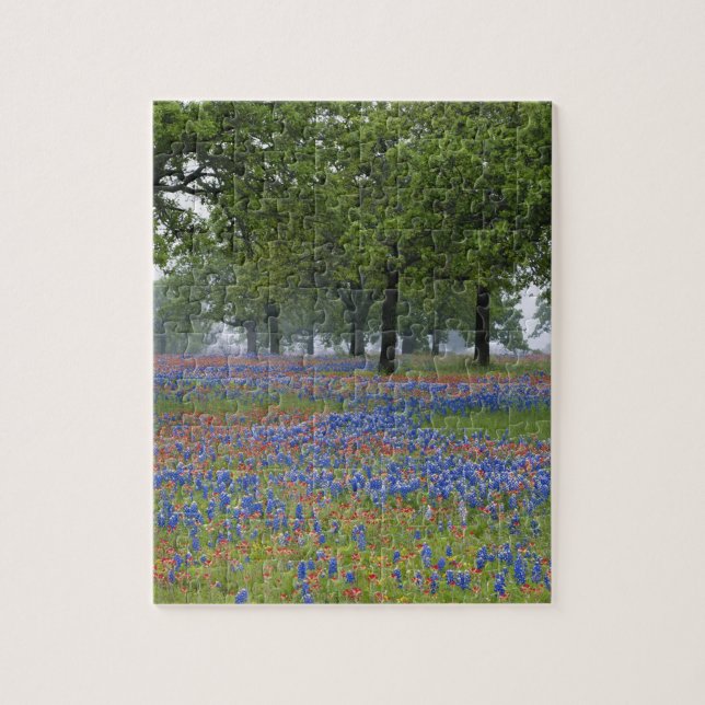 Texas, Texas Hill Country, Texas Paintbrush and Jigsaw Puzzle (Vertical)