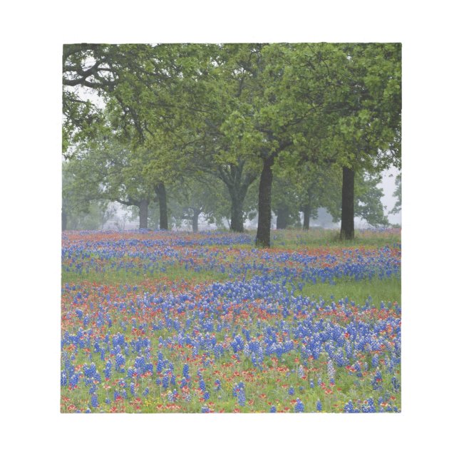Texas, Texas Hill Country, Texas Paintbrush and Notepad (Front)