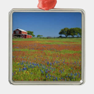 Texas, Texas Hill Country, Texas paintbrush Metal Tree Decoration