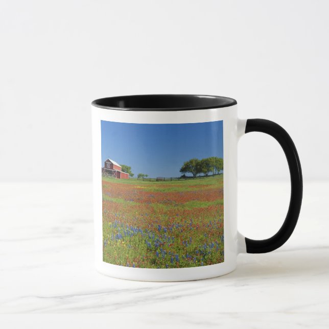 Texas, Texas Hill Country, Texas paintbrush Mug (Right)