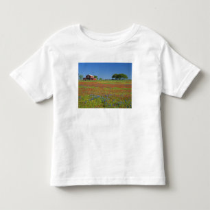 Texas, Texas Hill Country, Texas paintbrush Toddler T-Shirt