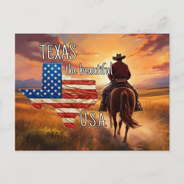 TEXAS the beautiful USA Postcard (Front)