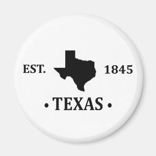 texas the lone star state magnet