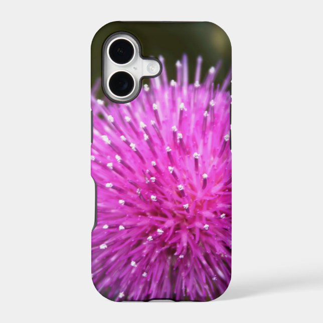 Texas Thistle (Back)