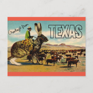 Texas Travel Greetings Postcard - Vintage Travel