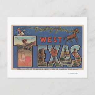 Texas (Western)Large Letter Scenes Postcard