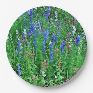 Texas Wildflower Field Paper Plates