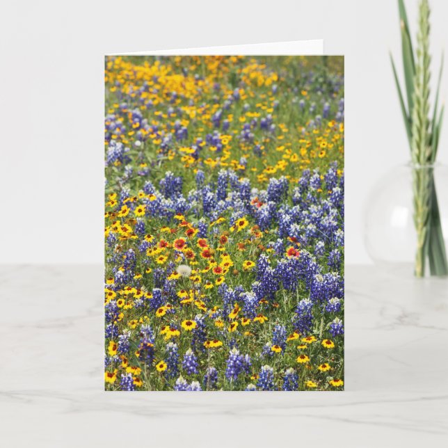 Texas Wildflowers by Cynthia Wenslow Card (Front)