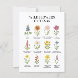 Texas Wildflowers in Watercolor Style Postcard