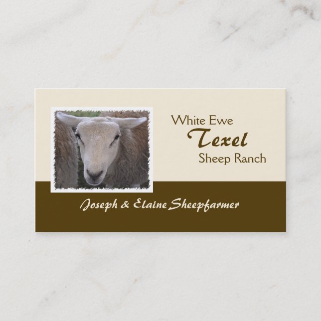 Texel Sheep business card (Front)