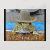 Texe's Cousin...bIg hAt rEx