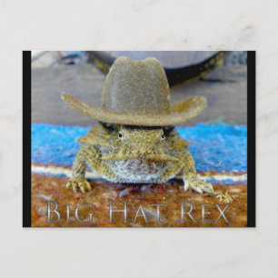 Texe's Cousin...bIg hAt rEx Postcard