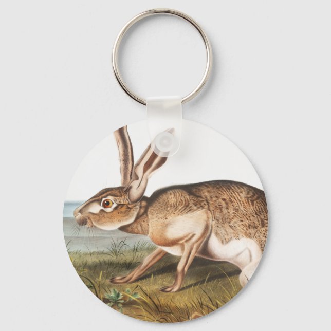 Texian Hare (Lepus Texianus) Rabbit Illustration Key Ring (Front)