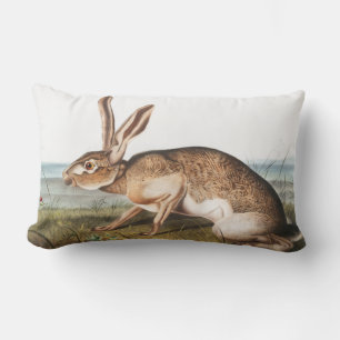 Texian Hare (Lepus Texianus) Rabbit Illustration Lumbar Cushion