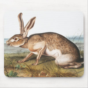 Texian Hare (Lepus Texianus) Rabbit Illustration Mouse Pad