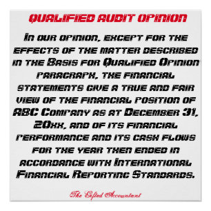 TEXT"Qualified Audit Opinion" Poster
