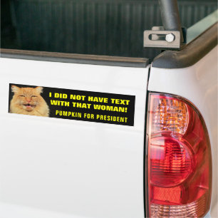 Texting? Not this Cat! Bumper Sticker