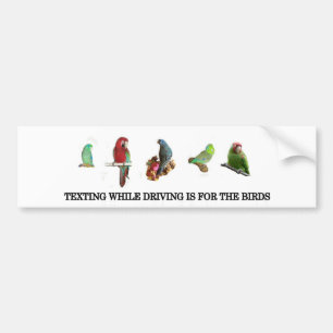 Texting While Driving Bumper Sticker