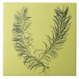 Textural Treasure of Summer on a Ceramic Tile - B