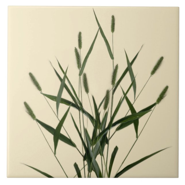 Textural Treasures of Summer on a Ceramic Tile - A (Front)