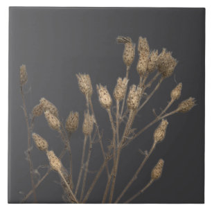 Textural Treasures of Winter on a Ceramic Tile - C