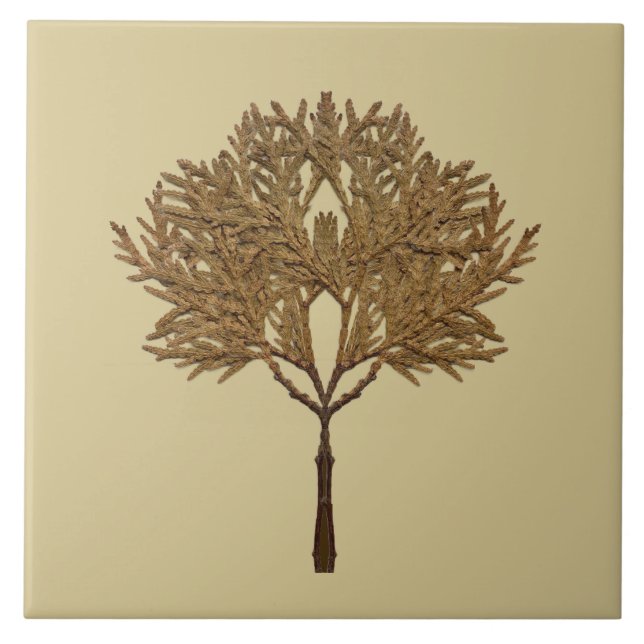 Textural Treasures of Winter on Ceramic Tile - D1 (Front)