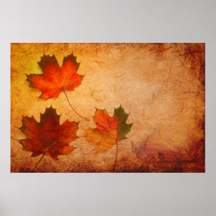 Texture background maple poster