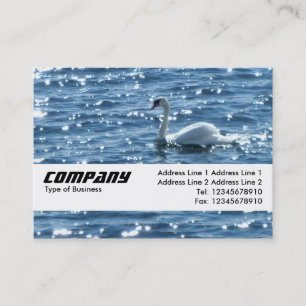 Texture Band - Swan Business Card