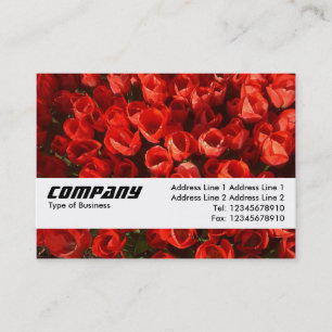 Texture Band - Tulips Business Card