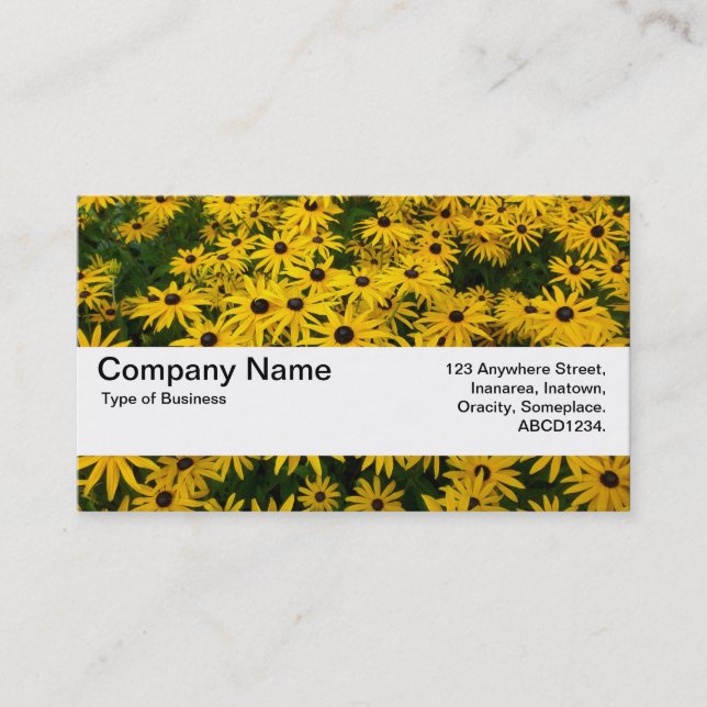 Texture Band V2 - Black-eyed Susans Business Card (Front)