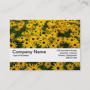 Texture Band V2 - Black-eyed Susans (Rudbeckia Hir Business Card