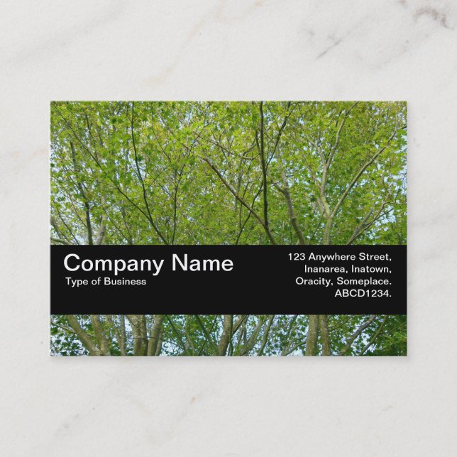 Texture Band V2 - Japanese Maple Business Card (Front)