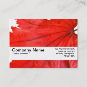 Texture Band V2 - Japanese Maple Leaf Business Card