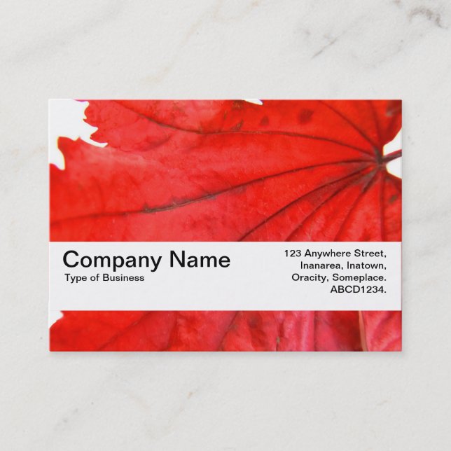 Texture Band V2 - Japanese Maple Leaf Business Card (Front)
