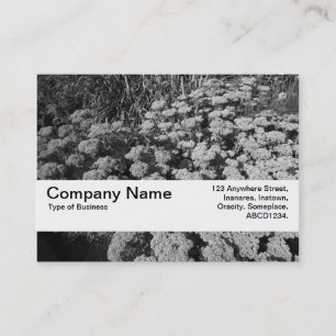 Texture Band V2 - Sedum "Autumn Joy" Business Card