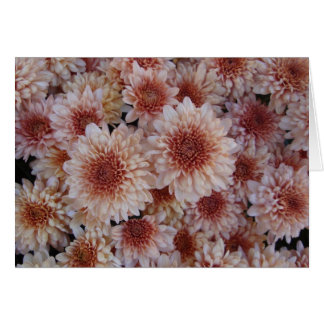 Texture of Happiness / La textura de la alegría