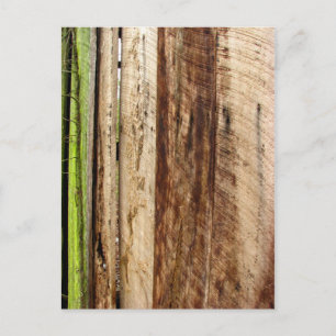Texture Postcard