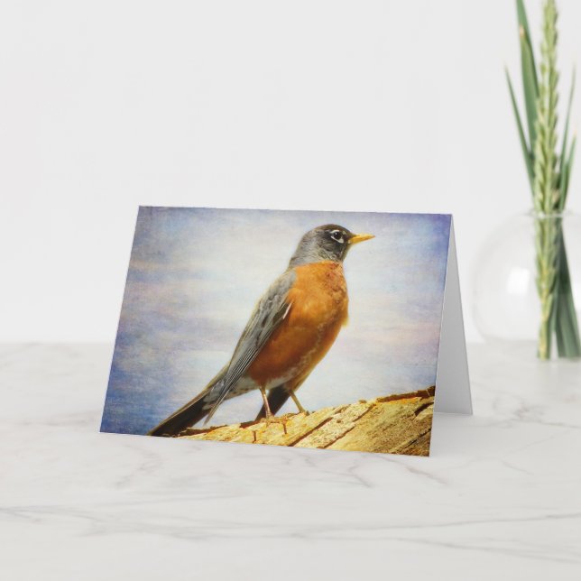 Textured American Robin Greeting Card (Front)