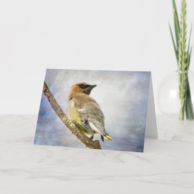 Textured Cedar Waxwing Greeting Card (Front)