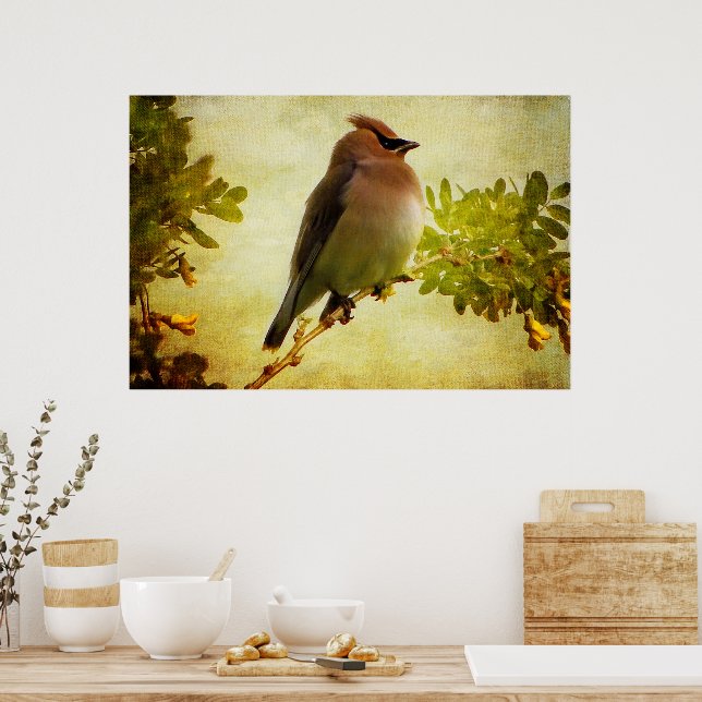 Textured Cedar Waxwing Poster Print (Kitchen)