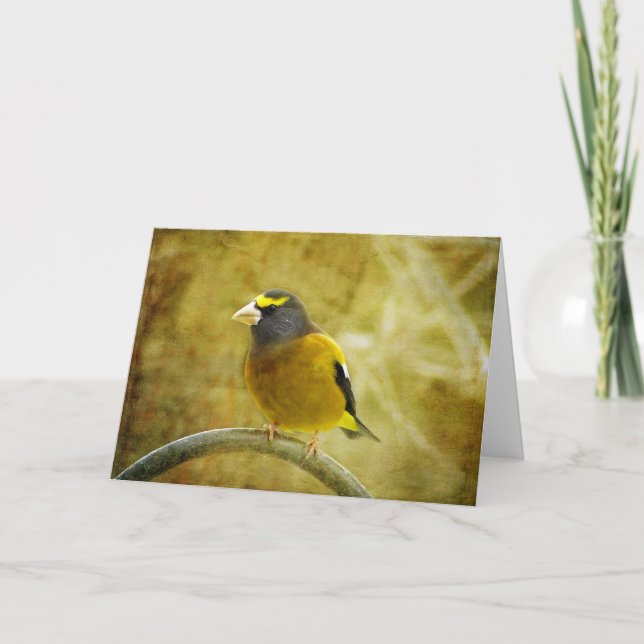 Textured Evening Grosbeak Greeting Card (Front)