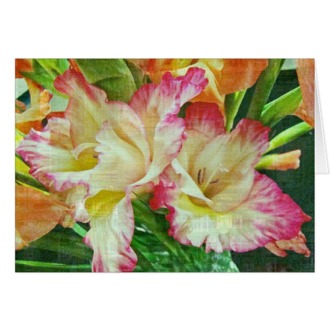 Textured Gladiola (Front Horizontal)