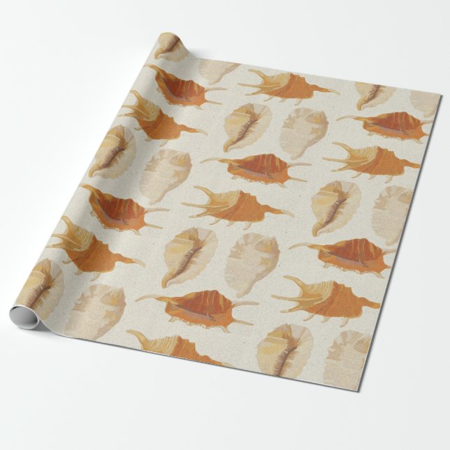 Textured Seashells Wrapping Paper (Unrolled)