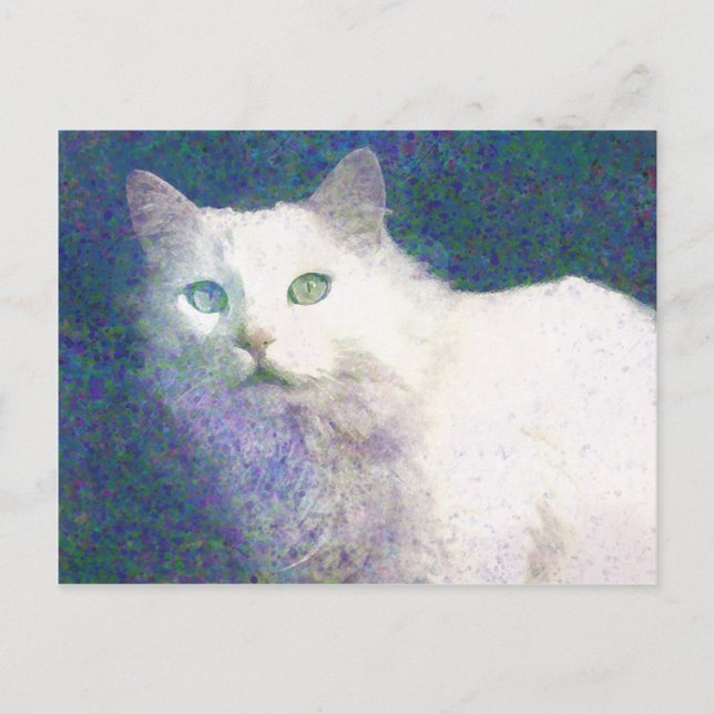 Textured white cat postcard (Front)