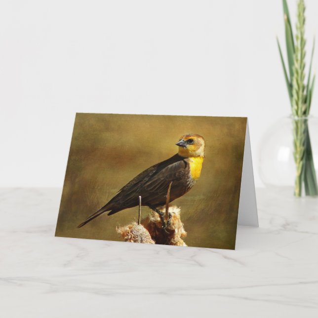 Textured Yellow-headed Blackbird Greeting Card (Front)